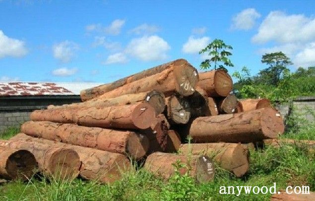 批木网 anywood.com