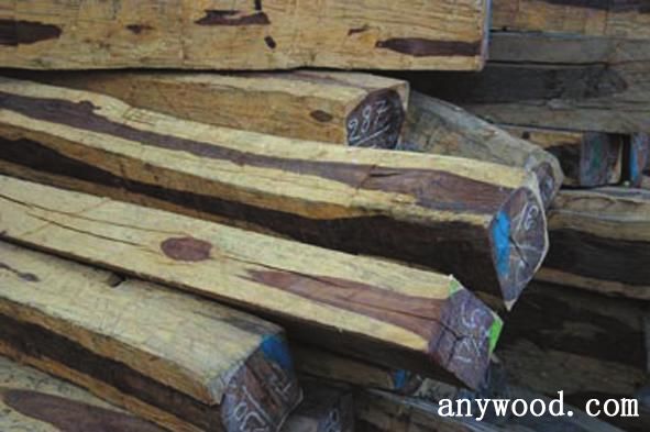 批木网 anywood.com