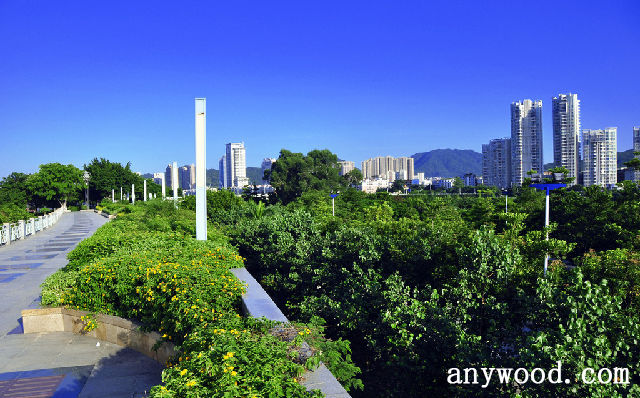 批木网 anywood.com