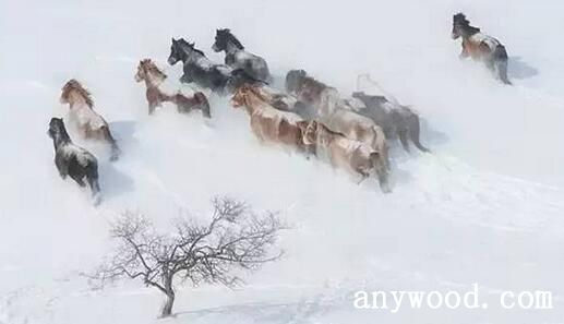 中国雪景