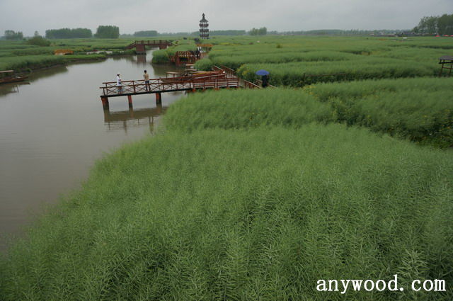 批木网 anywood.com