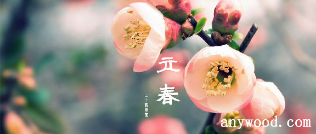 批木网立春