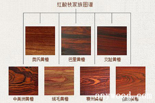 批木网 anywood.com