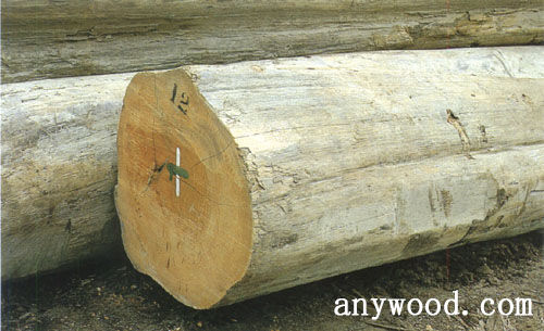 批木网 anywood.com