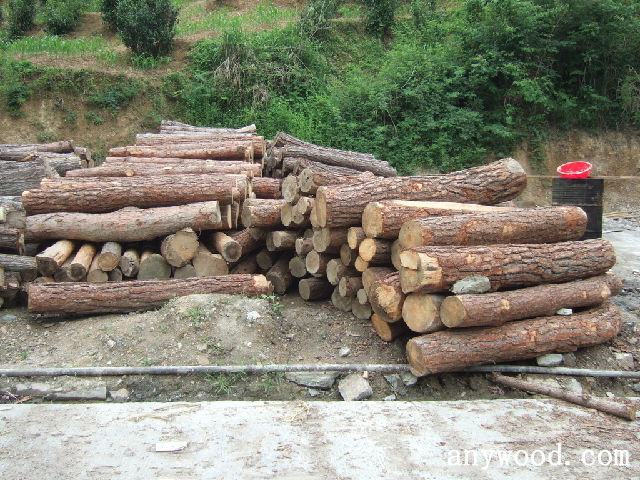 批木网 anywood.com