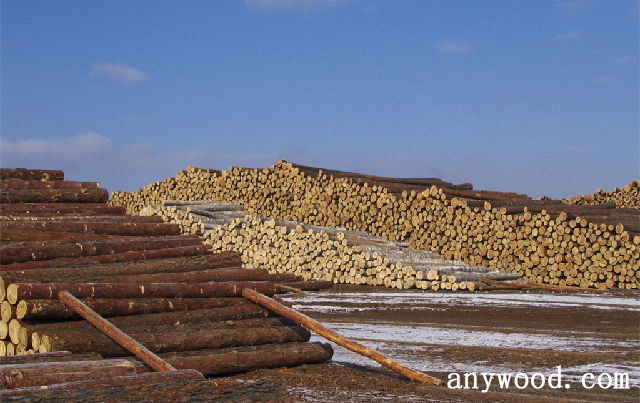 批木网 anywood.com