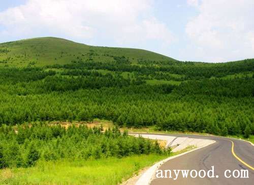 批木网 anywood.com