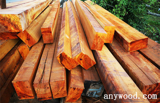 批木网 anywood.com