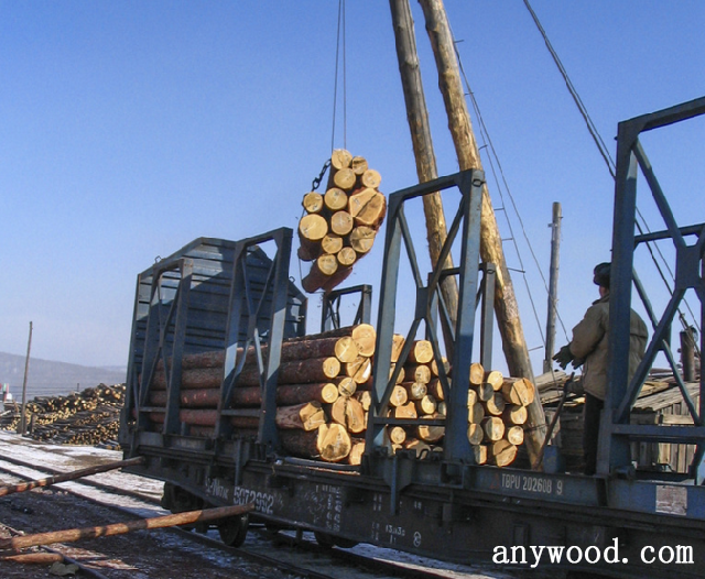 批木网 anywood.com