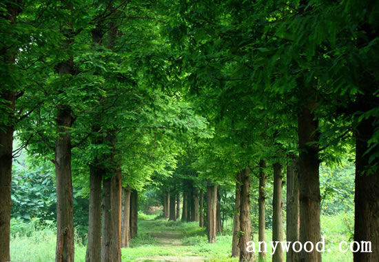 批木网 anywood.com