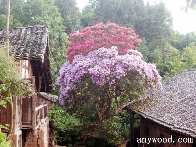 批木网 anywood.com