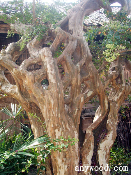 批木网 anywood.com