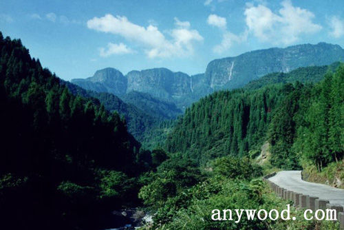 批木网 anywood.com