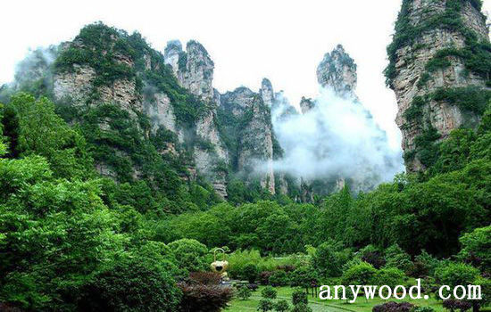批木网 anywood.com