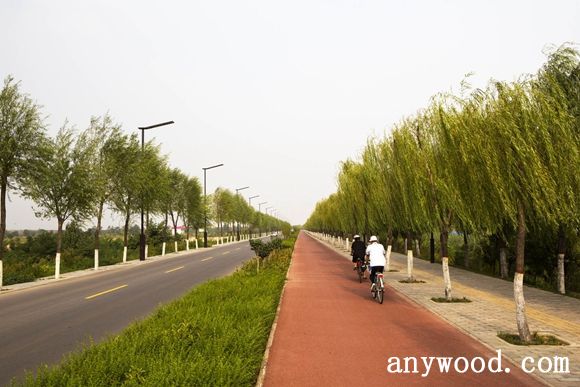 批木网 anywood.com