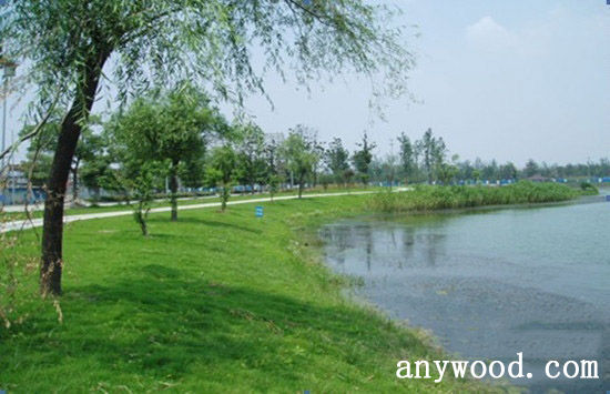 批木网 anywood.com