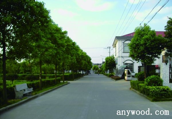 批木网 anywood.com