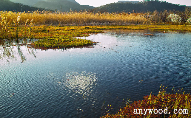 批木网 anywood.com