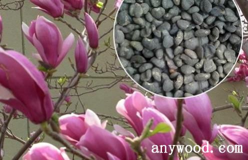 批木网 anywood.com