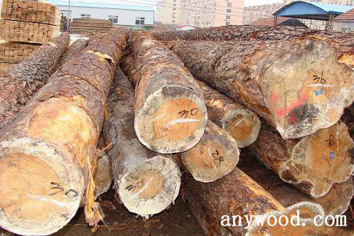 批木网 anywood.com