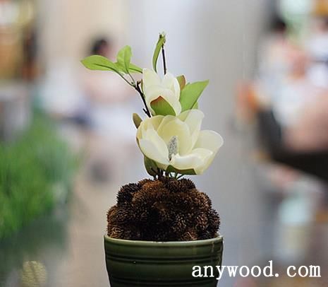 批木网 anywood.com