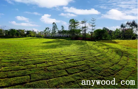 批木网 anywood.com