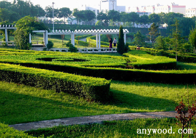 批木网 anywood.com