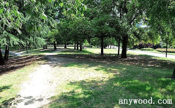 批木网 anywood.com