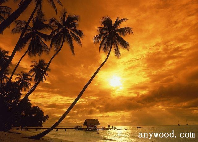 批木网 anywood.com