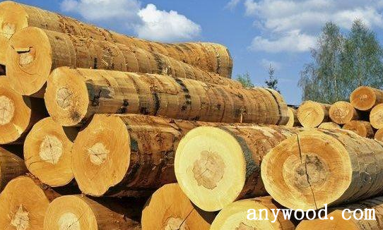 批木网 anywood.com