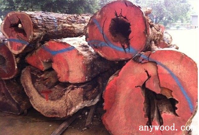 批木网 anywood.com