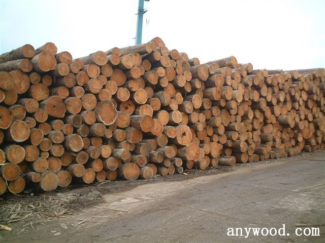 批木网 anywood.com