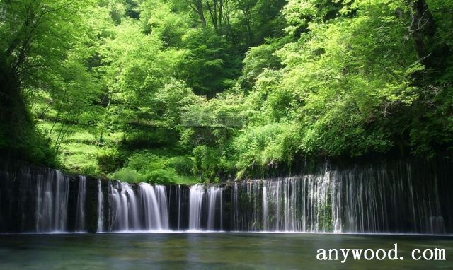 批木网 anywood.com