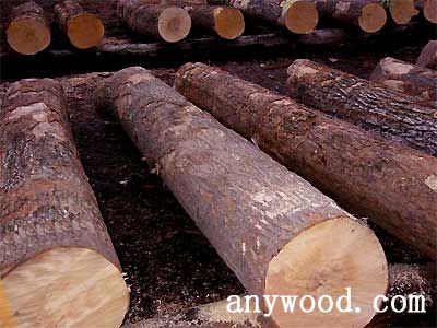 批木网 anywood.com