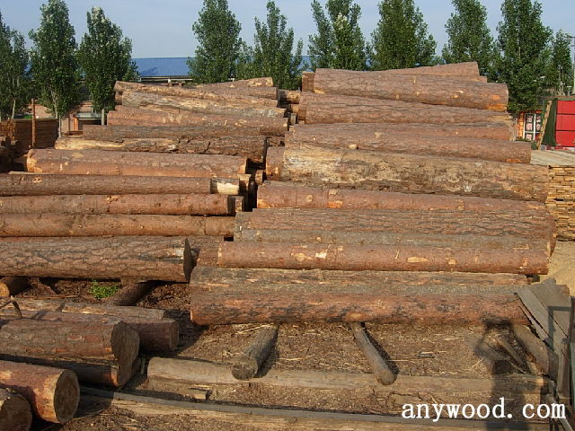 批木网 anywood.com