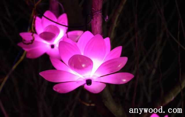 批木网 anywood.com