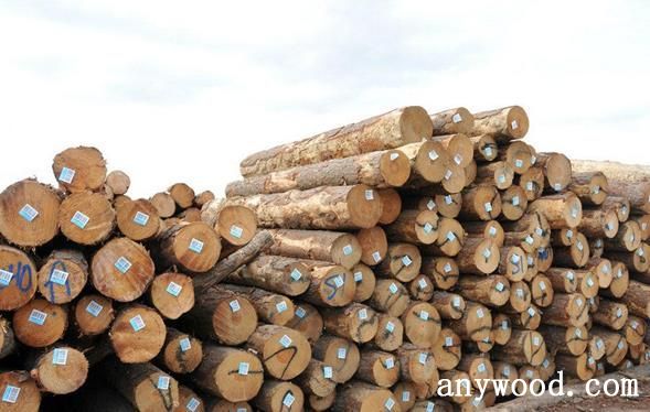 批木网 anywood.com