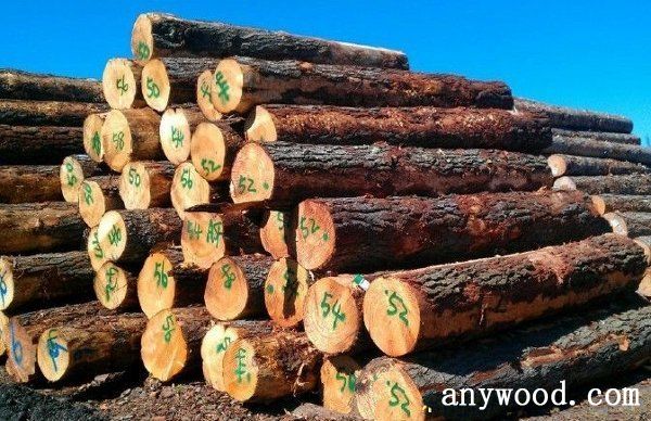 批木网 anywood.com