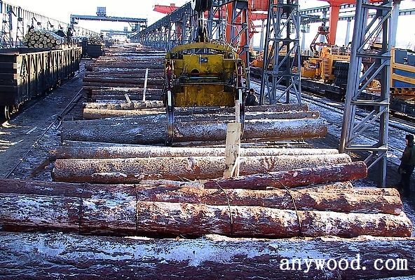 批木网 anywood.com
