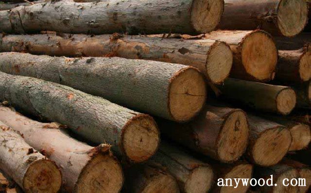 批木网 anywood.com