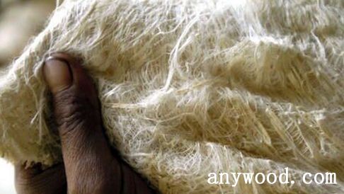 批木网  anywood.com