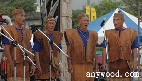 批木网  anywood.com