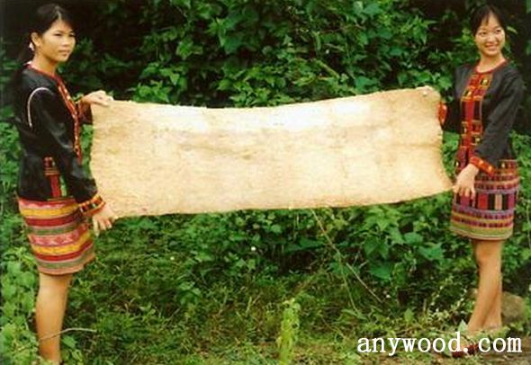 批木网 anywood.com