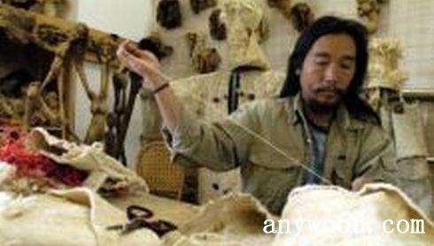 批木网 anywood.com