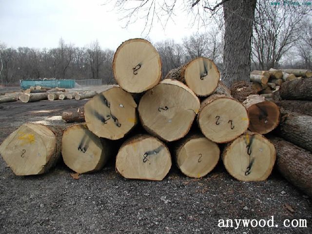 批木网anywood.com