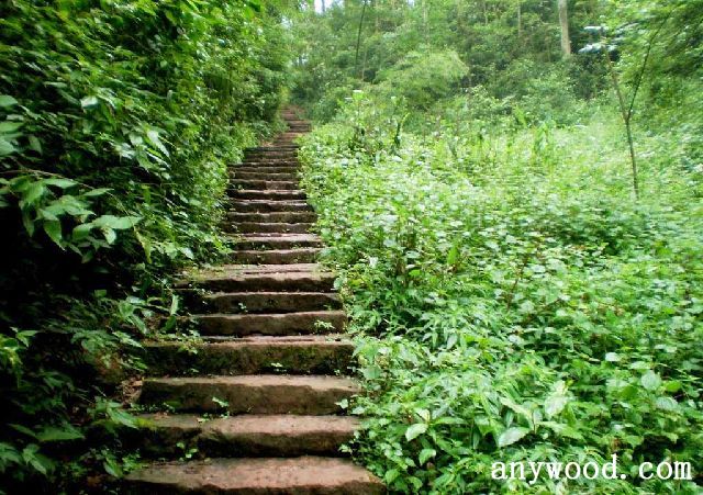 批木网 anywood.com