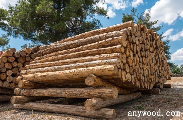 批木网 anywood.com