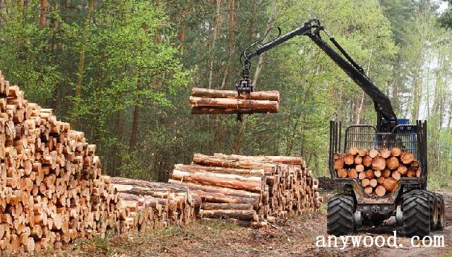 批木网 anywood.com