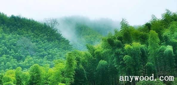 批木网 anywood.com