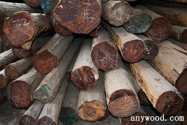 批木网 anywood.com